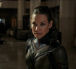Wasp