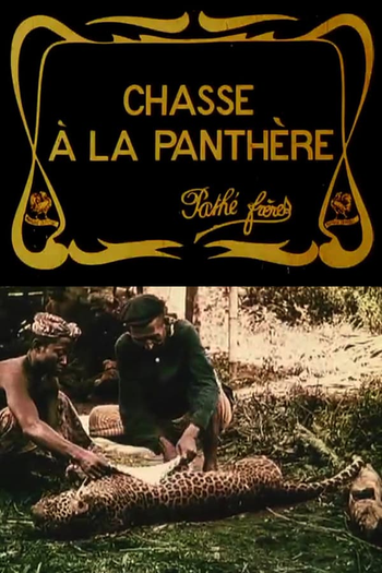 Poster de Curta Chasse à la panthère (1909)