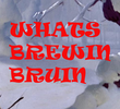 What's Brewin', Bruin?