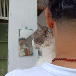 Foto de perfil de Raquel, só.