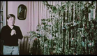 The Magic Christmas Tree (1964) Teaser & Trailer