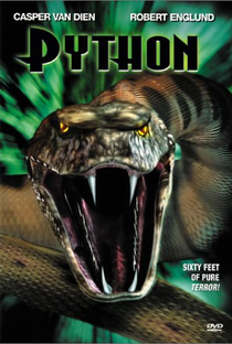 Python: A Cobra Assassina - Poster / Capa / Cartaz - Oficial 2