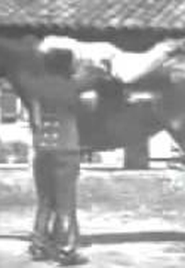 A Acrobacia (La Voltige)