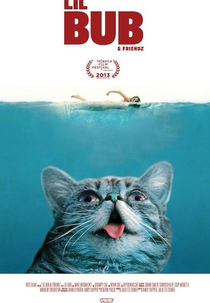 Lil Bub & Friendz (Lil Bub & Friendz)