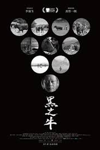  de Filme Black Ox (2024)