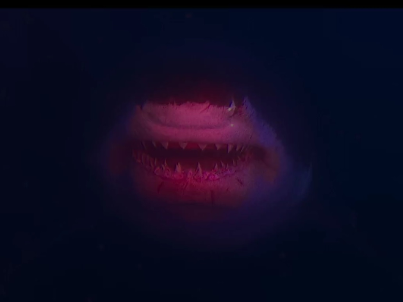 Foto 16 de Medo Profundo