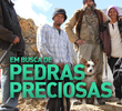 Em Busca de Pedras Preciosas