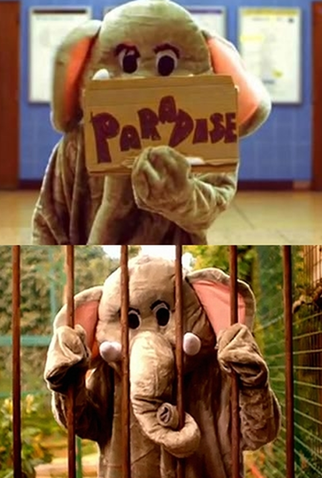 Poster 1 de Curta Coldplay: Paradise (2011)