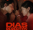 Dias Perfeitos