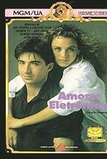 Amores Eletrônicos - Poster / Capa / Cartaz - Oficial 2