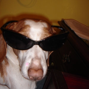 Foto de perfil de Old Padawan