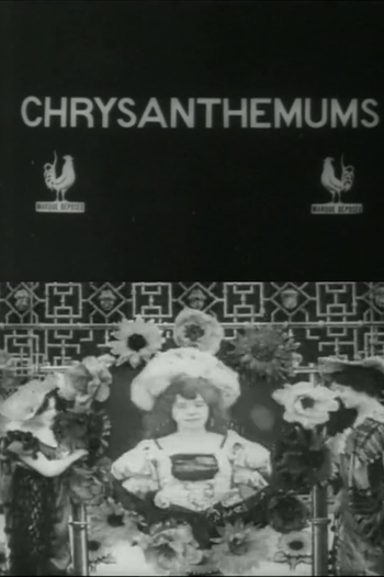Poster de Curta Chrysanthemums (1907)