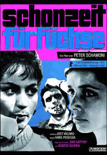 Schonzeit für Füchse (Schonzeit für Füchse)