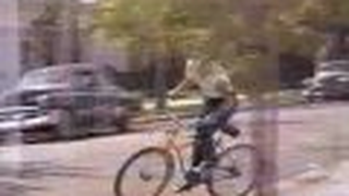 Trailer: Inventing the Abbotts (1997) Trailer