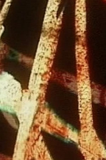 Poster de Curta Scratch (2000)