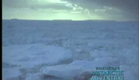 Shackleton's Antarctic Adventure // Trailer