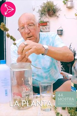 La Planta (La Planta)