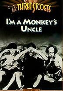 Rixas nas rochas (I'm a monkey's uncle)