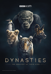 Dinastias (1ª Temporada) (Dynasties (Season 1))