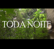 Toda Noite