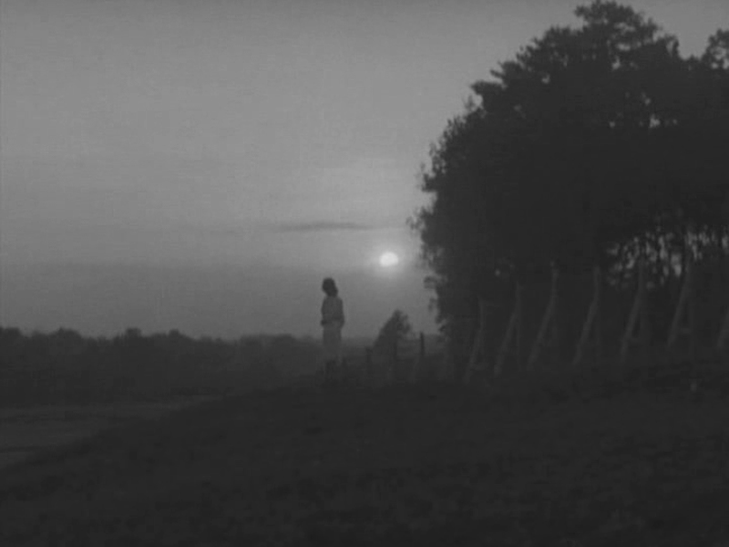 Foto 2 de White Beast