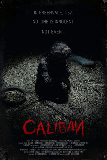 Poster de Filme The Banished (2019)