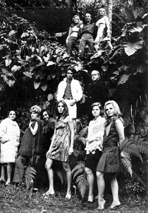 Um Gosto Amargo de Festa (Um Gosto Amargo de Festa)