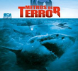 Megalodon: 18 Metros de Terror