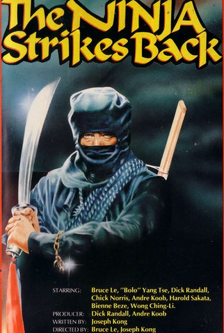 Poster 2 de Filme The Ninja Strikes Back (1982)