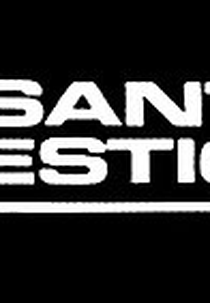 O Santo Mestiço (O Santo Mestiço)