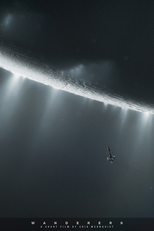 Wanderers (Wanderers)