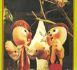 Bonecotes