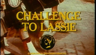 Challenge To Lassie (1949) TV Spot Trailer