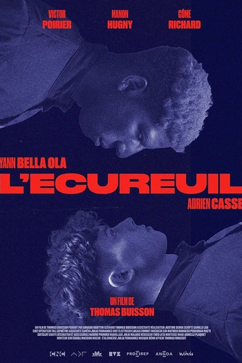 Poster de Curta The Squirrel (2024)