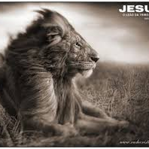 Foto de perfil de Isaac Moreira