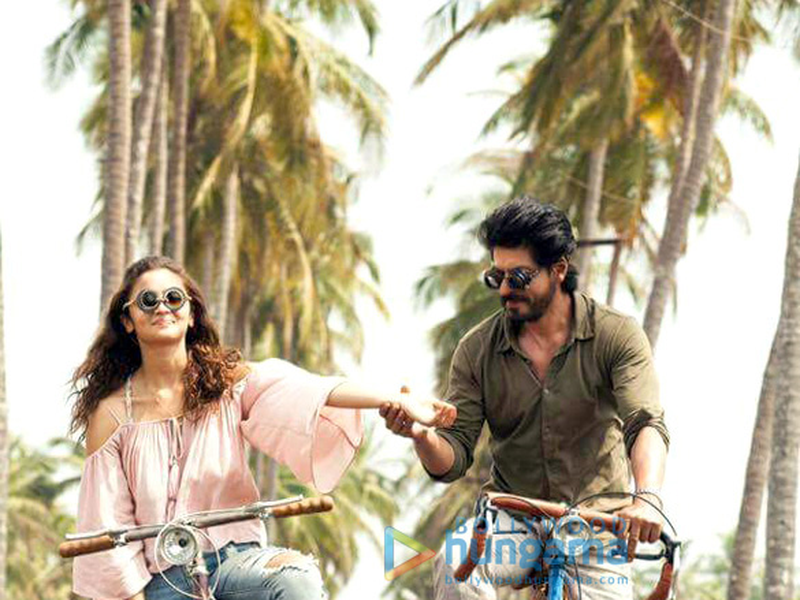 Foto 24 de Querida Vida