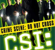 CSI: Investigação Criminal (1ª Temporada)