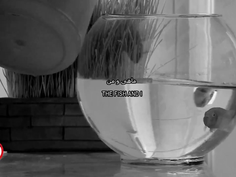 Foto 8 de The Fish and I