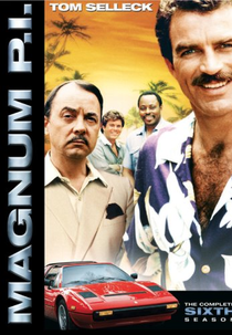 Magnum (6ª Temporada) (Magnum, P.I. (Season 6))