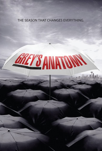 A Anatomia de Grey (6ª Temporada) - Poster / Capa / Cartaz - Oficial 2