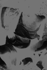 XCXHXEXRXRXIXEXSX (XCXHXEXRXRXIXEXSX)