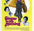 Ginger in the Morning