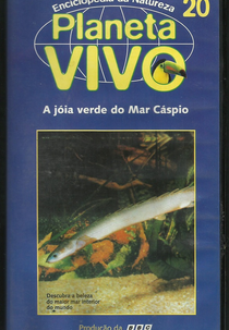 Planeta Vivo - A Jóia Verde do Mar Cáspio (Green Jewel of the Caspian)