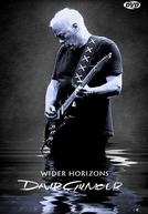 David Gilmour - Wider Horizons (David Gilmour - Wider Horizons)