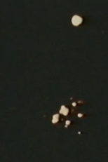 Song 11: Fires, Windows, an Insect, a Lyre of Rain Scratches (Song 11: Fires, Windows, an Insect, a Lyre of Rain Scratches)