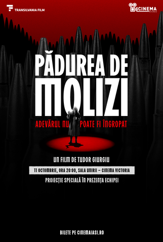 Poster 1 de Filme Floresta de Abetos (2025)