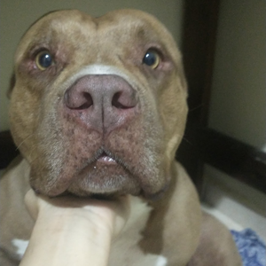 Foto de perfil de Victoria