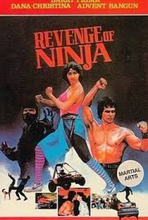 Revenge of Ninja - Poster / Capa / Cartaz - Oficial 1