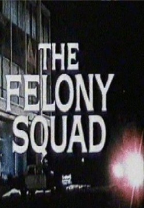 Felony Squad (1ª Temporada) (Felony Squad (Season 1))