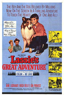 A Grande Aventura de Lassie - Poster / Capa / Cartaz - Oficial 1